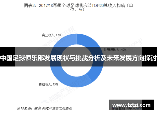 中国足球俱乐部发展现状与挑战分析及未来发展方向探讨