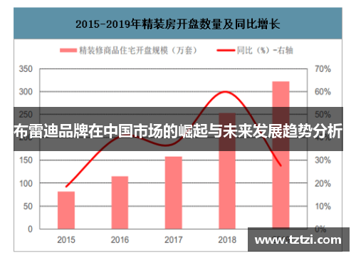 布雷迪品牌在中国市场的崛起与未来发展趋势分析