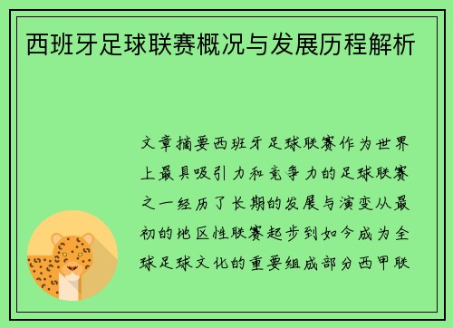 西班牙足球联赛概况与发展历程解析