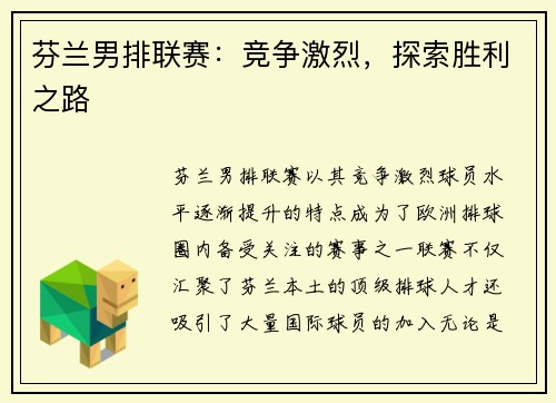 芬兰男排联赛：竞争激烈，探索胜利之路