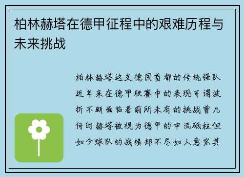 柏林赫塔在德甲征程中的艰难历程与未来挑战