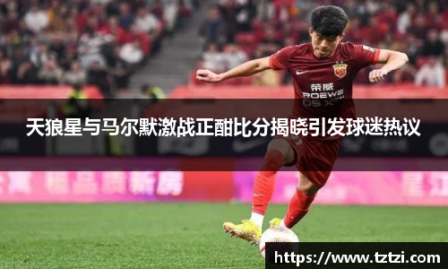 天狼星与马尔默激战正酣比分揭晓引发球迷热议